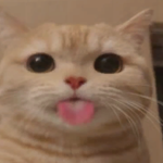 @MeganLovesRoblox0811
