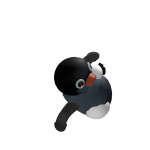 @pingu_thepengu2