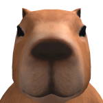 @johstny