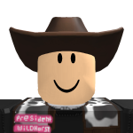 @flapy24