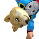 @DumbThomasFan