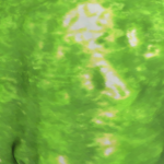 @Pickleton_Greed