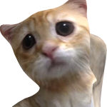 @edvinejnko