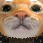 @ItWasntEcho