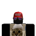 @KingNoodle1746