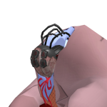 @roblox_user_353571754