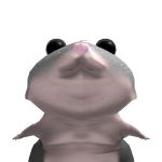 @stikicol