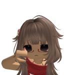 @usagiism