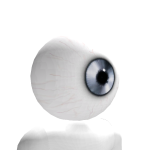 @Robloxiscoolio116