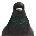 @shaun2040
