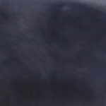 @trexbamb00