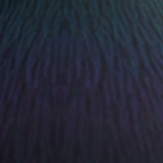 @Man_2015w