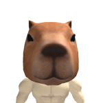 @cubeproroblox