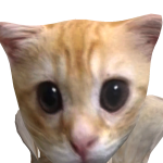 @0MGK1WIXO