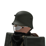 @fiercelion1117