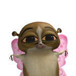 @leamancini