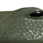 @DuckDotts