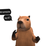 @Capybaragod296