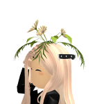 @boogie_bunboom