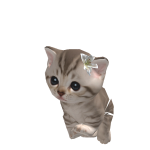 @ravengrigor7