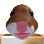 @blnnnnnnn