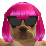 @armypuggy