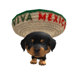 @Kenton_roblox