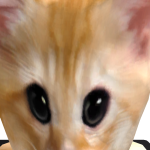 @urmumisbye