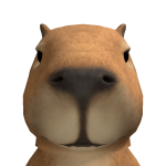 @Horsesaremylife1567