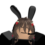 @Bunni_1011