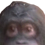 @Giraffe_PlayzLove