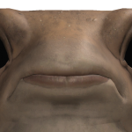 partyman349's avatar