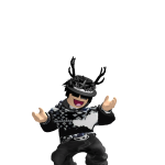 HJSZJH05