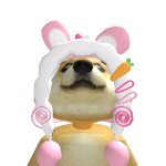 @K0j0328