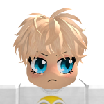 @RobloxGamerPP1r