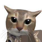 @jjncknn