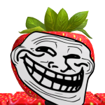 @BolicotDev