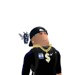@evertom2018