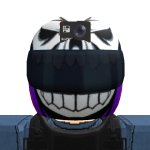 @robomesa