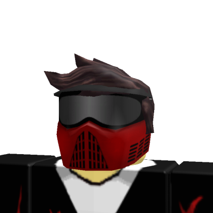 Robloxmaster355max