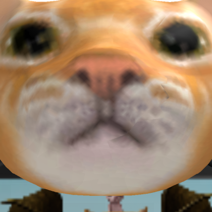 XVX_XVXQ