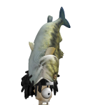 @bryjm1999