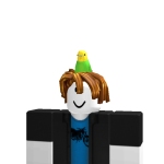 @JayROBLOX0_0