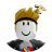 Headshot of roblox_user_331396205