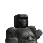 @Droppyrblx19391