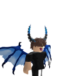 @Bloxboxpops