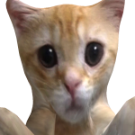 @mk354_lol