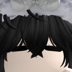 @ryogam73
