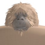 @monkiegorillaa