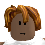@Foxydude981